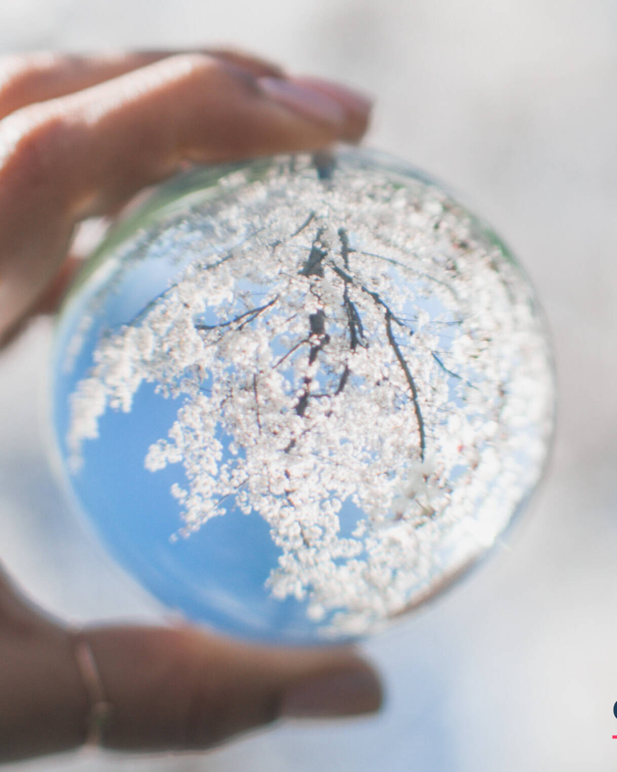 uudistavan liiketoiminnan koulutus