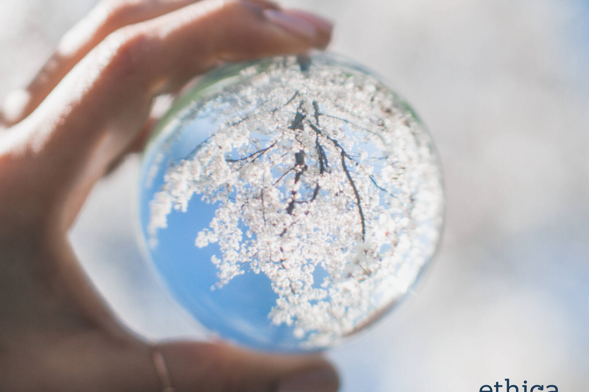 uudistavan liiketoiminnan koulutus